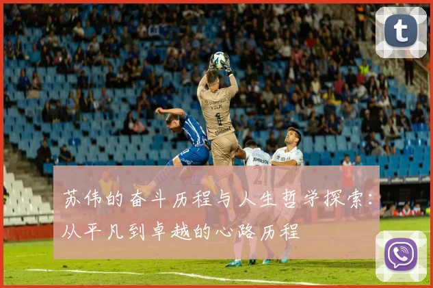 苏伟的奋斗历程与人生哲学探索：从平凡到卓越的心路历程