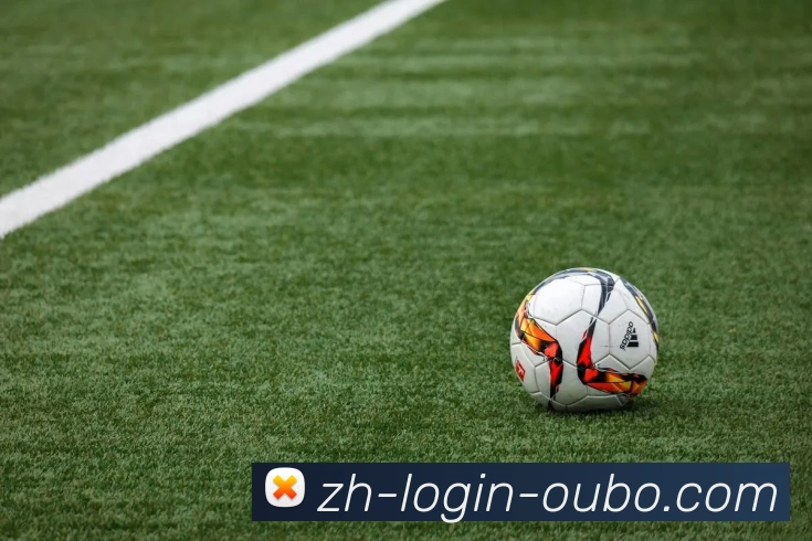 欧博娱乐服务体系